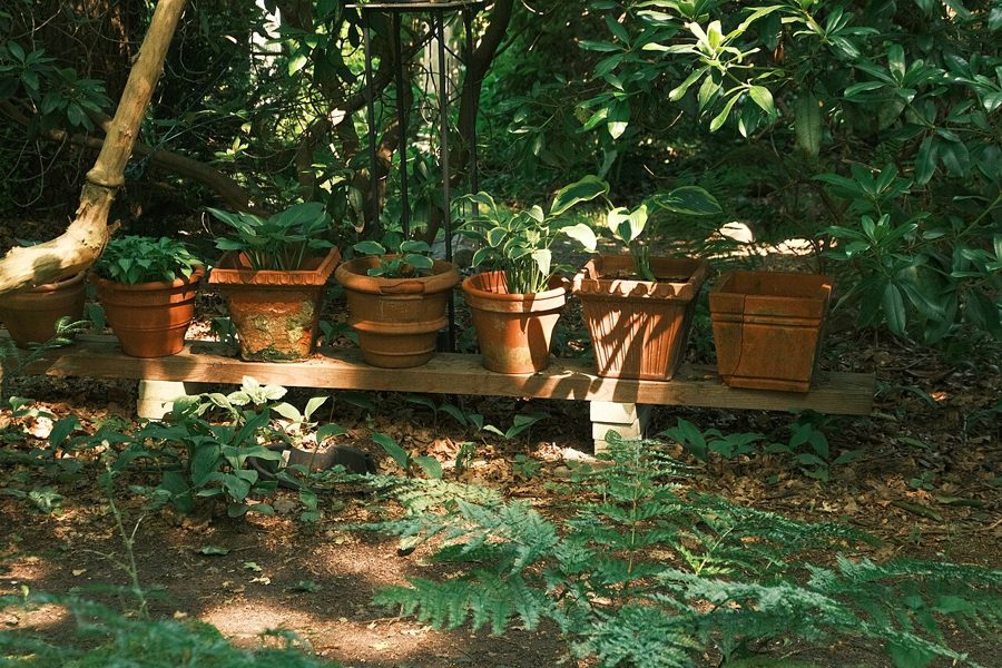 Terracotta Pot Set